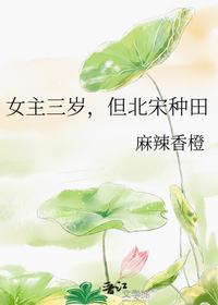 女主三岁，但北宋种田